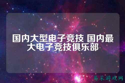国内大型电子竞技 国内最大电子竞技俱乐部