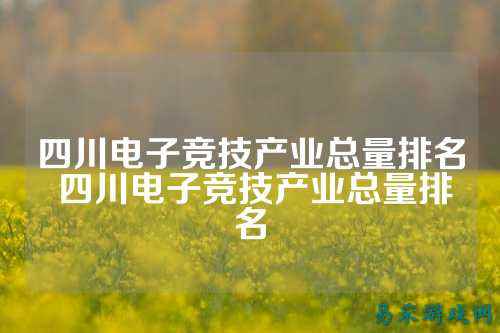 四川电子竞技产业总量排名 四川电子竞技产业总量排名