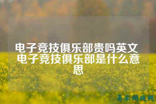 电子竞技俱乐部贵吗英文 电子竞技俱乐部是什么意思