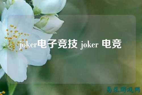 joker电子竞技 joker 电竞