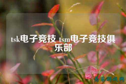 tsk电子竞技 tsm电子竞技俱乐部