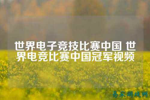 世界电子竞技比赛中国 世界电竞比赛中国冠军视频