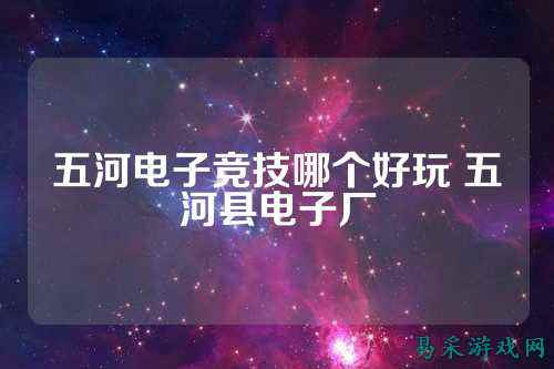 五河电子竞技哪个好玩 五河县电子厂
