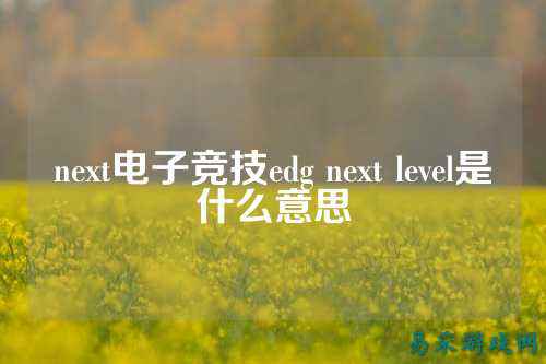 next电子竞技edg next level是什么意思