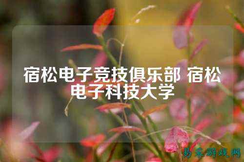 宿松电子竞技俱乐部 宿松电子科技大学