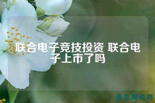 联合电子竞技投资 联合电子上市了吗