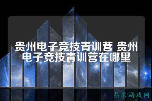 贵州电子竞技青训营 贵州电子竞技青训营在哪里