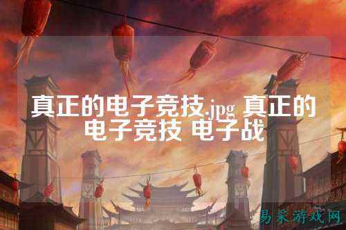 真正的电子竞技.jpg 真正的电子竞技 电子战