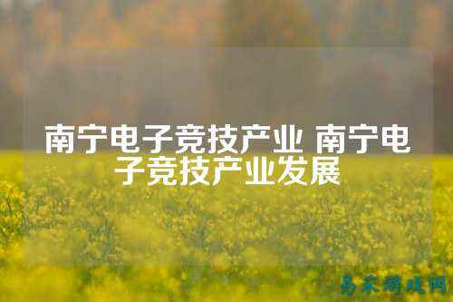 南宁电子竞技产业 南宁电子竞技产业发展