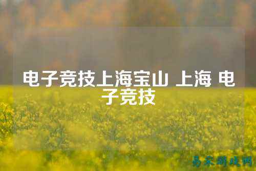 电子竞技上海宝山 上海 电子竞技