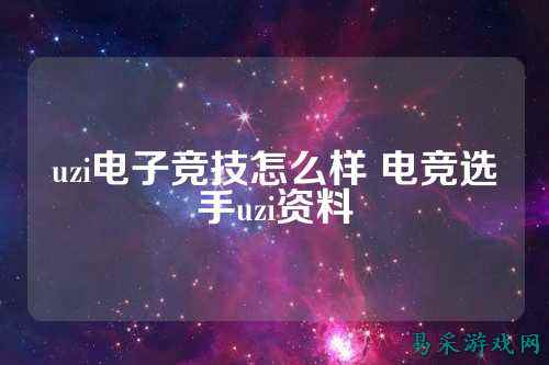 uzi电子竞技怎么样 电竞选手uzi资料