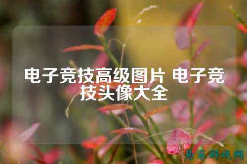 电子竞技高级图片 电子竞技头像大全