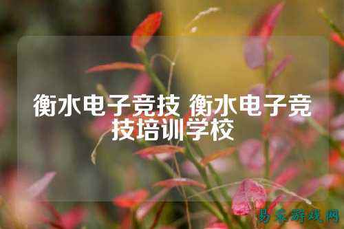 衡水电子竞技 衡水电子竞技培训学校