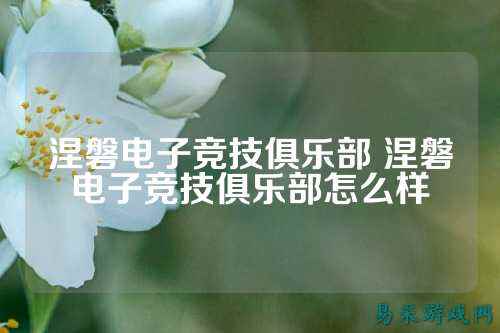 涅磐电子竞技俱乐部 涅磐电子竞技俱乐部怎么样