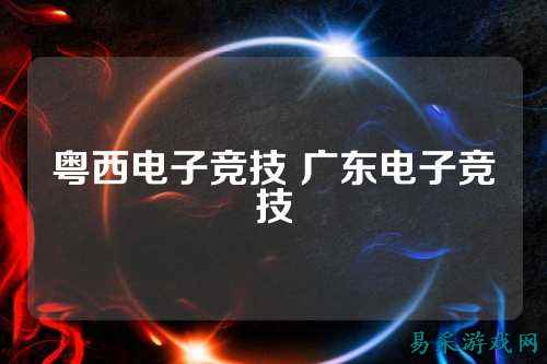 粤西电子竞技 广东电子竞技