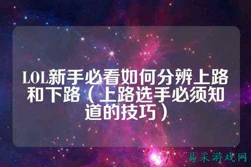 LOL新手必看如何分辨上路和下路(上路选手必须知道的技巧)