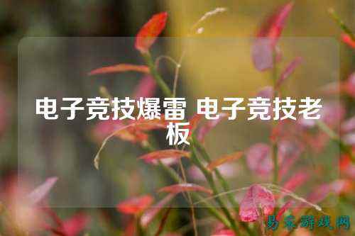 电子竞技爆雷 电子竞技老板