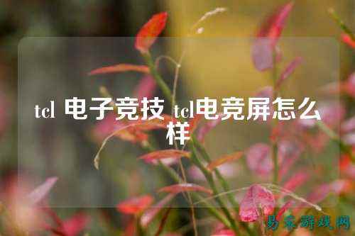 tcl 电子竞技 tcl电竞屏怎么样