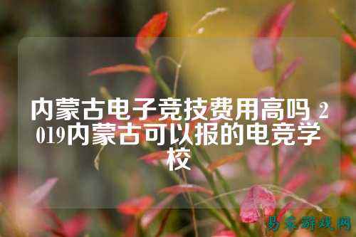 内蒙古电子竞技费用高吗 2019内蒙古可以报的电竞学校