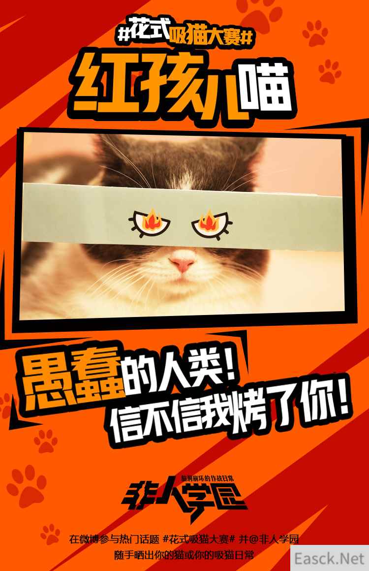4.12去猫岛开黑！《非人学园》开启花式吸猫大赛