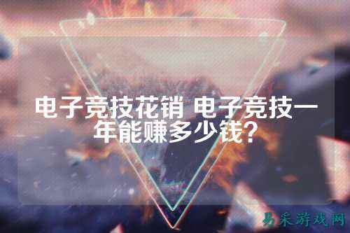 电子竞技花销 电子竞技一年能赚多少钱？