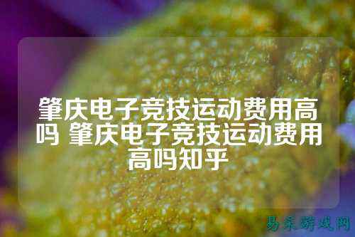肇庆电子竞技运动费用高吗 肇庆电子竞技运动费用高吗知乎