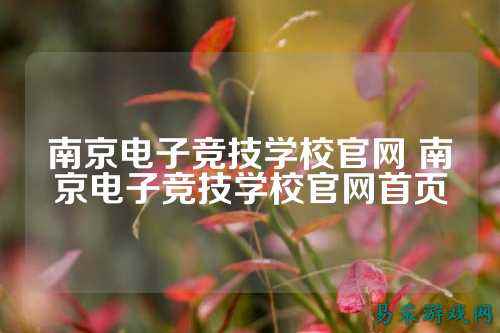 南京电子竞技学校官网 南京电子竞技学校官网首页