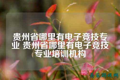 贵州省哪里有电子竞技专业 贵州省哪里有电子竞技专业培训机构