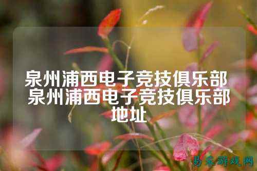 泉州浦西电子竞技俱乐部 泉州浦西电子竞技俱乐部地址