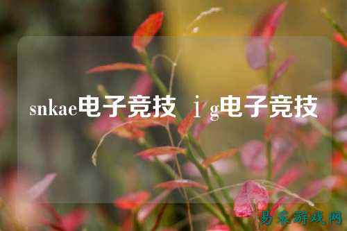 snkae电子竞技 ⅰg电子竞技