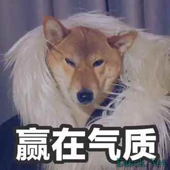 女大晒清凉穿搭,评论区炸锅:这就是让街拍师追了三条街的秘密?
