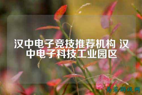 汉中电子竞技推荐机构 汉中电子科技工业园区