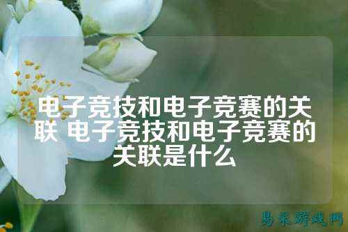 电子竞技和电子竞赛的关联 电子竞技和电子竞赛的关联是什么