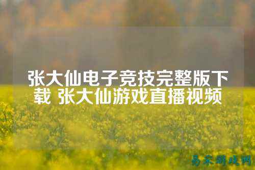 张大仙电子竞技完整版下载 张大仙游戏直播视频