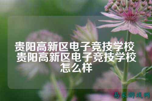贵阳高新区电子竞技学校 贵阳高新区电子竞技学校怎么样