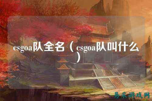csgoa队全名(csgoa队叫什么)