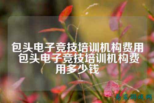 包头电子竞技培训机构费用 包头电子竞技培训机构费用多少钱