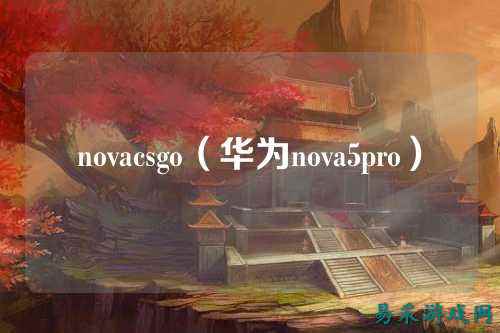 novacsgo(华为nova5pro)