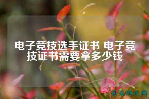 电子竞技选手证书 电子竞技证书需要拿多少钱