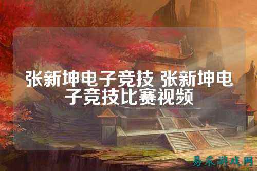 张新坤电子竞技 张新坤电子竞技比赛视频