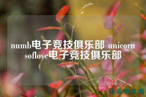 numb电子竞技俱乐部 unicornsoflove电子竞技俱乐部