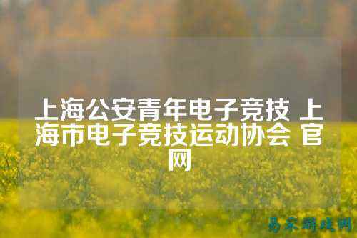 上海公安青年电子竞技 上海市电子竞技运动协会 官网