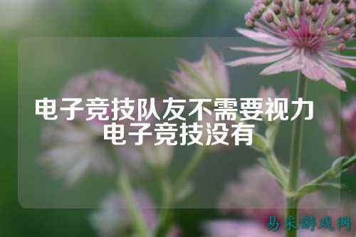 电子竞技队友不需要视力 电子竞技没有