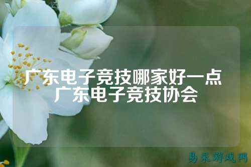 广东电子竞技哪家好一点 广东电子竞技协会