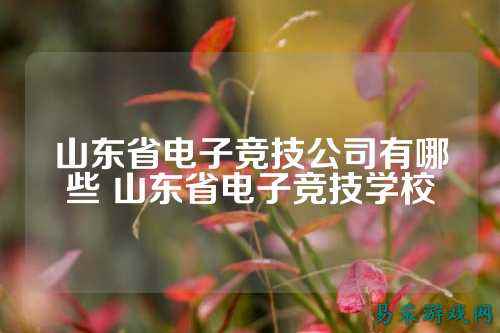 山东省电子竞技公司有哪些 山东省电子竞技学校