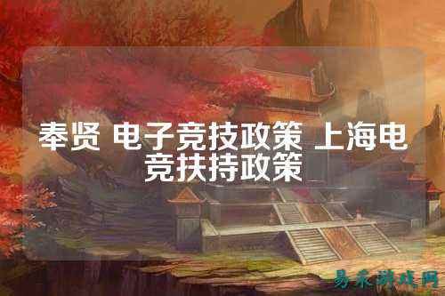 奉贤 电子竞技政策 上海电竞扶持政策