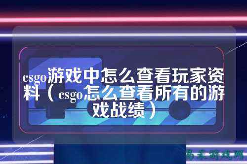 csgo游戏中怎么查看玩家资料(csgo怎么查看所有的游戏战绩)