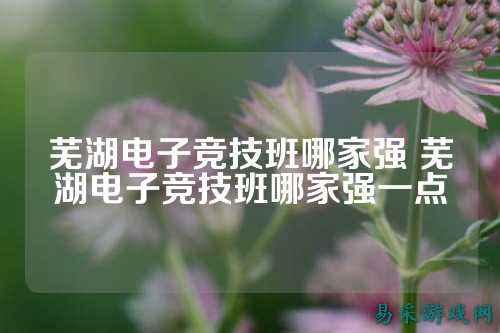 芜湖电子竞技班哪家强 芜湖电子竞技班哪家强一点