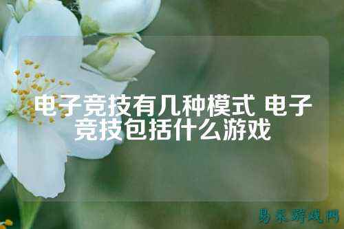 电子竞技有几种模式 电子竞技包括什么游戏
