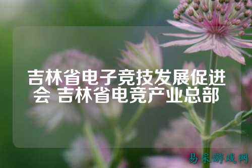 吉林省电子竞技发展促进会 吉林省电竞产业总部